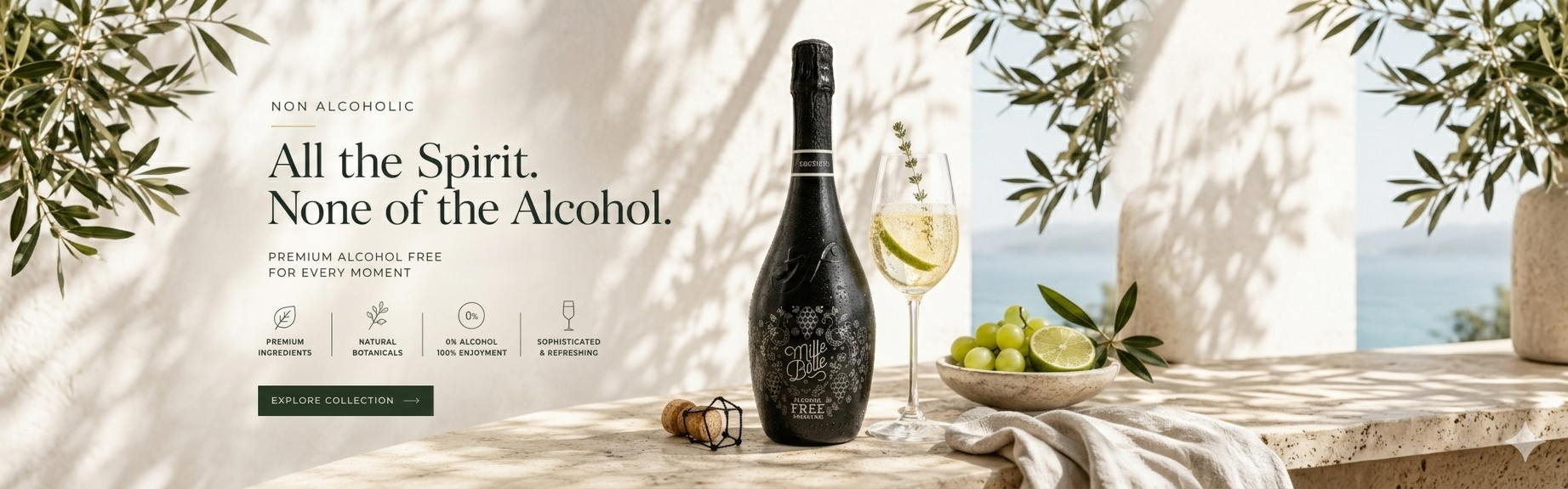 non alcolohic